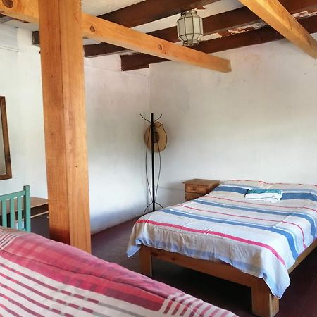 Hostalito Casa Alebrije Guanajuato Eksteriør bilde