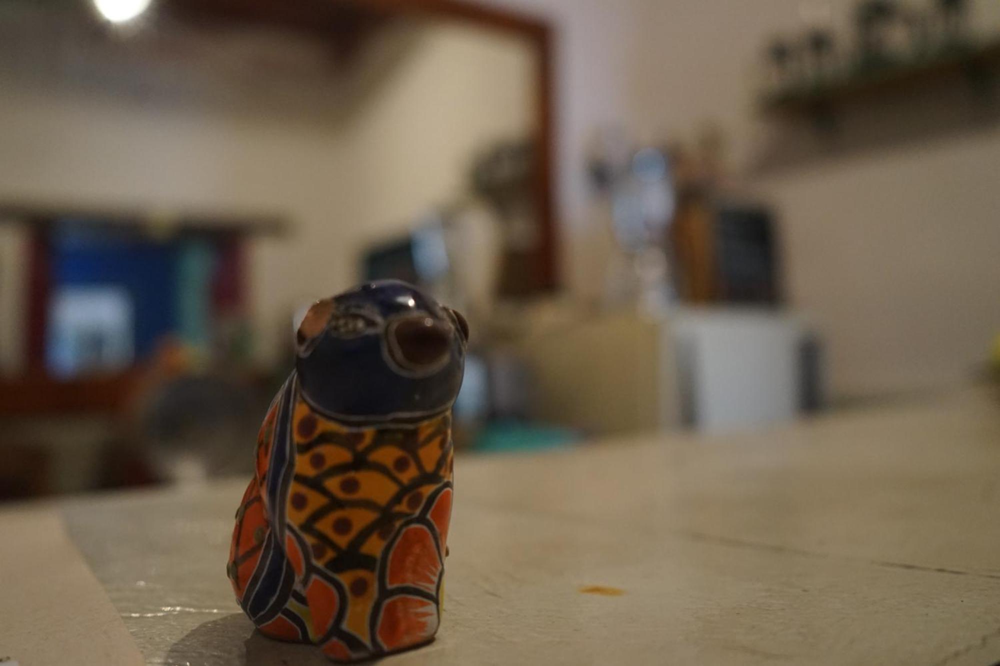 Hostalito Casa Alebrije Guanajuato Eksteriør bilde